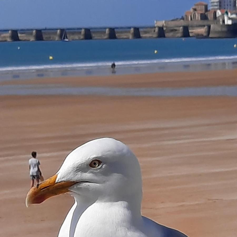 Appartement Vue Sur Mer Les Sables-d'Olonne Luaran gambar